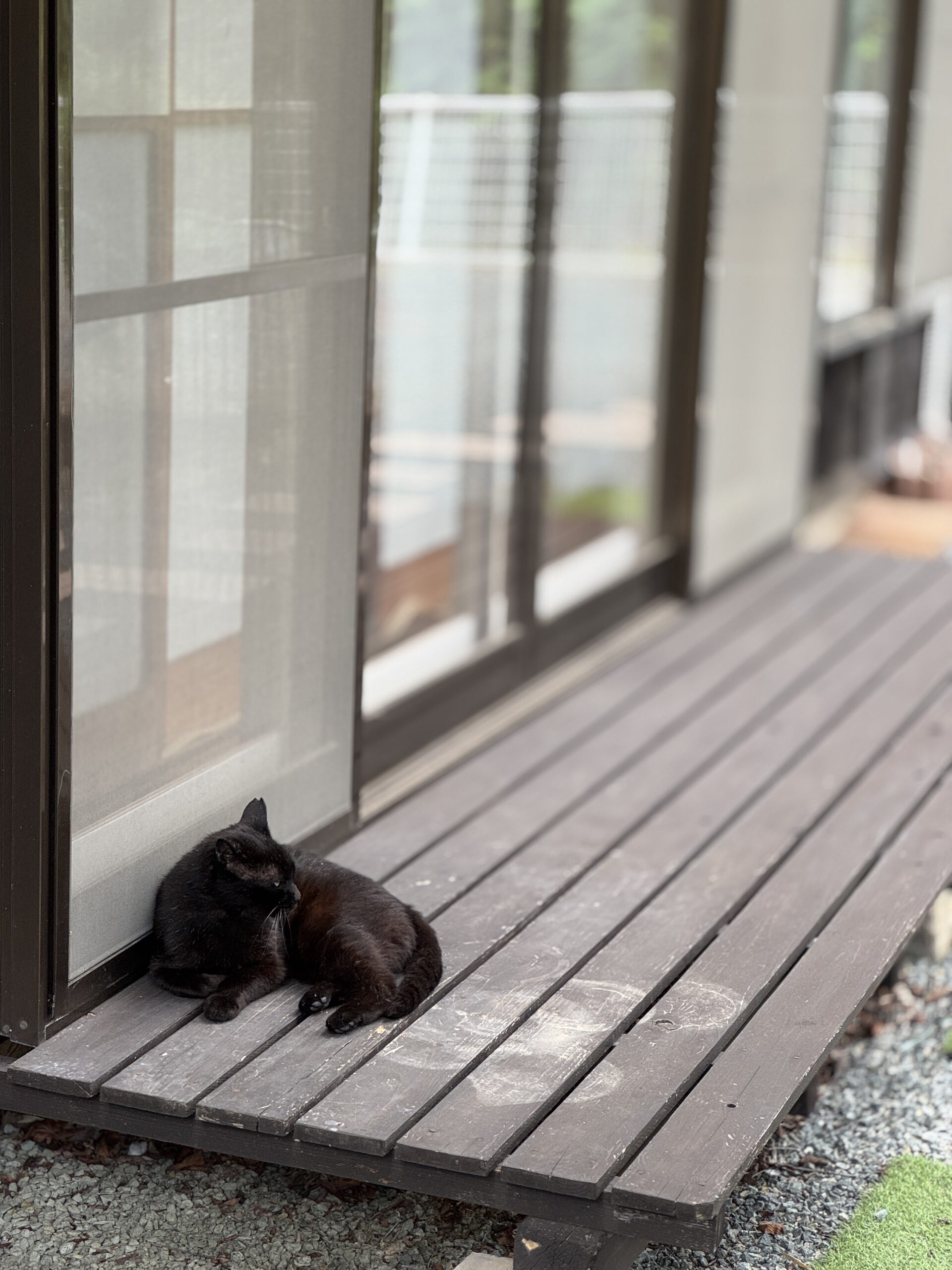 事務所の外にいる黒い影。